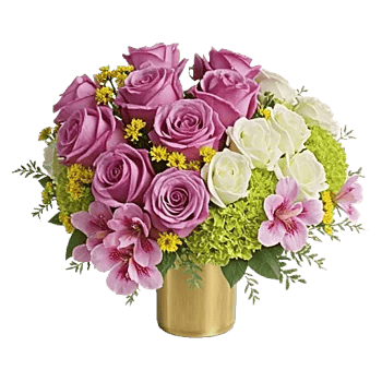 Blushing Rose Symphony