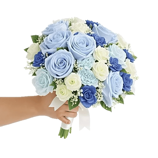 Serene Petal Harmony