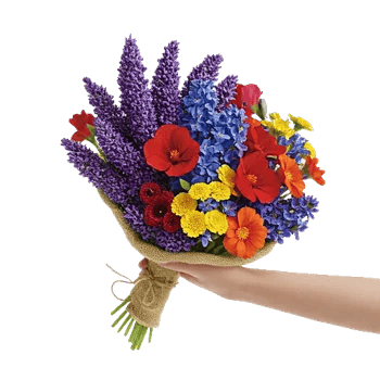 Lavender Bloom Grace