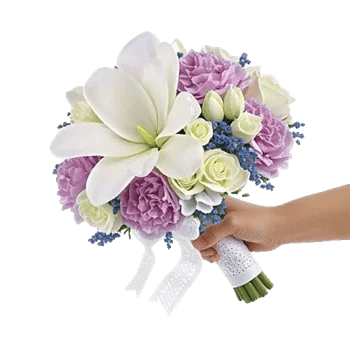 Serene Petal Harmony