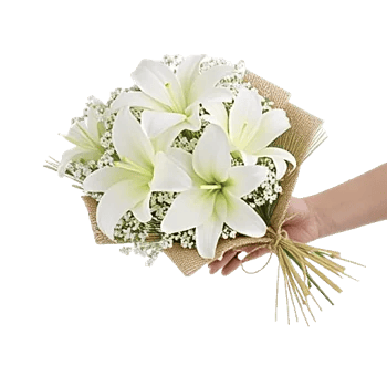 Graceful Lily Display