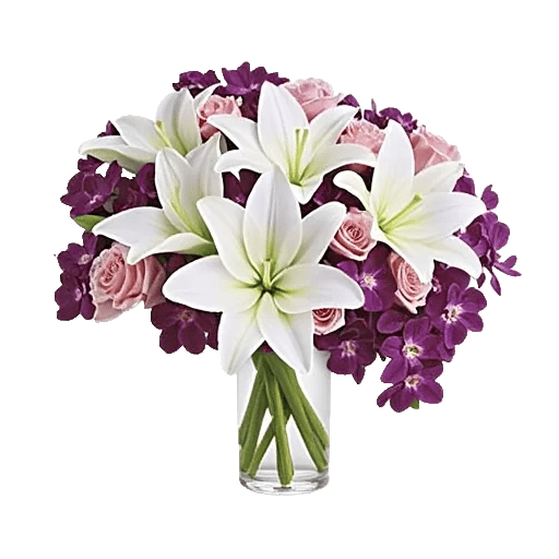 Orchid Bloom Cascade