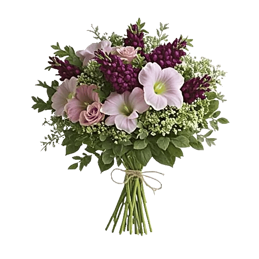 Modern White Orchids