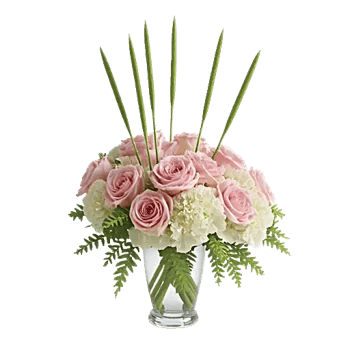 Ivory Blossom Radiance