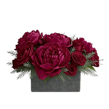 Petal Radiance Bliss