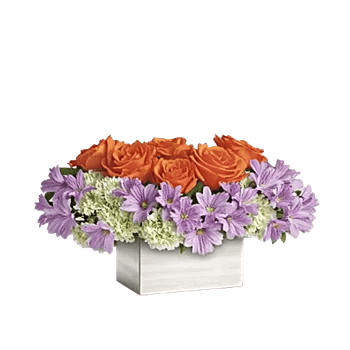 Blossom Glow Symphony