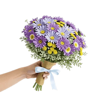 Blossom Petal Serenity