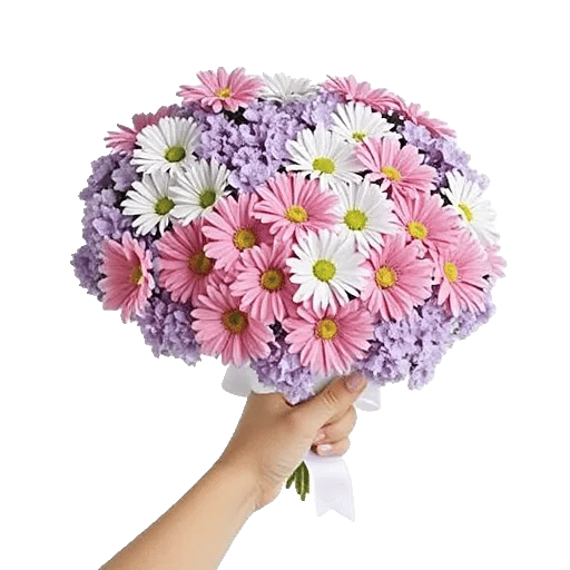 Blushing Rose Symphony