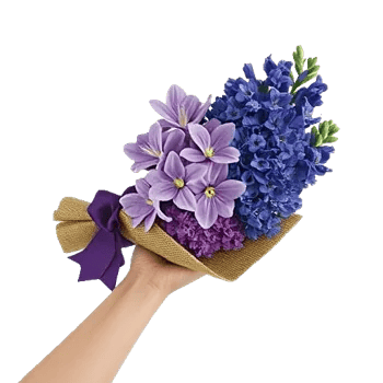 Blossom Petal Serenity