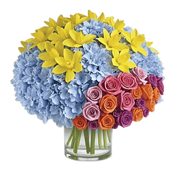 Petal Radiance Bliss
