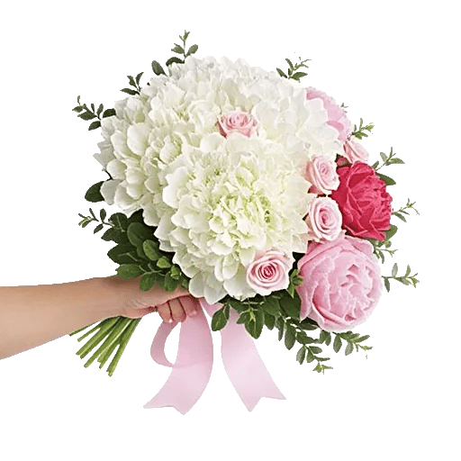 Ivory Blossom Radiance