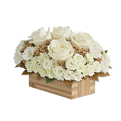 Delicate Petal Cascade