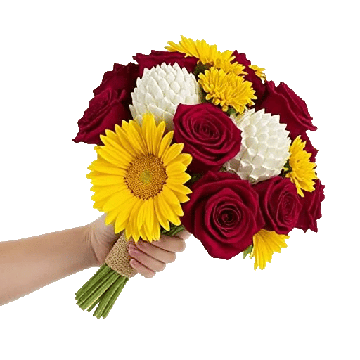 Crimson Rose Elegance