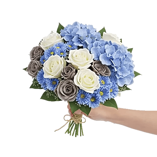 Serene Petal Harmony