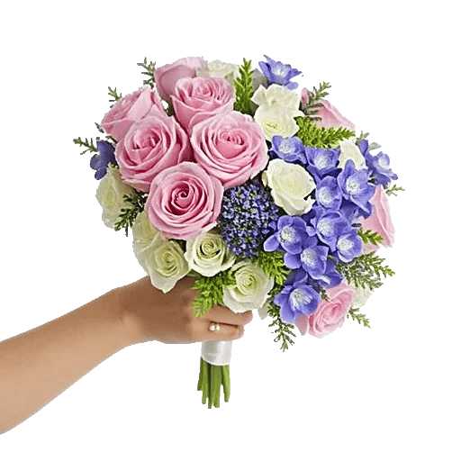 Pastel Pink Roses