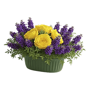 Delicate Petal Cascade