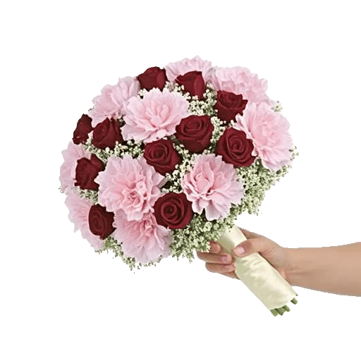 Pastel Pink Roses