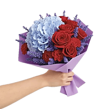 Crimson Rose Elegance