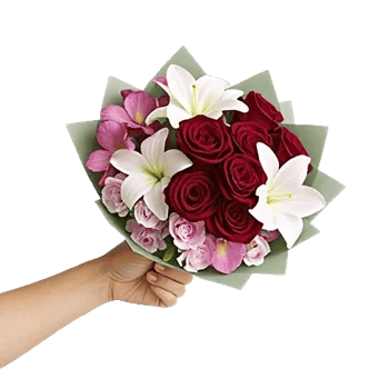 Crimson Rose Elegance