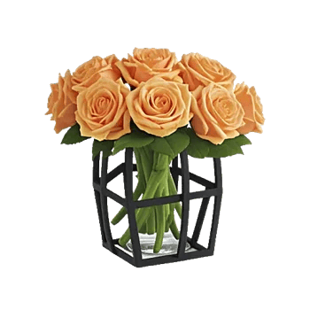 Radiant Rose Symphony