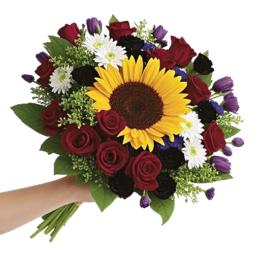 Radiant Bloom Cascade