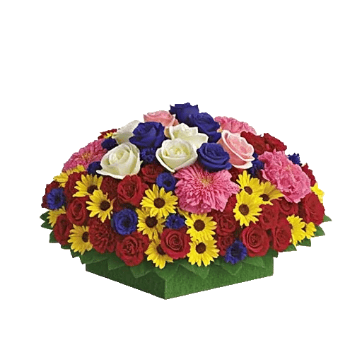 Delicate Petal Cascade