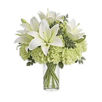 Ivory Blossom Radiance
