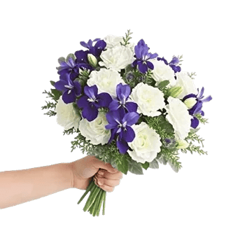 Ivory Garden Grace