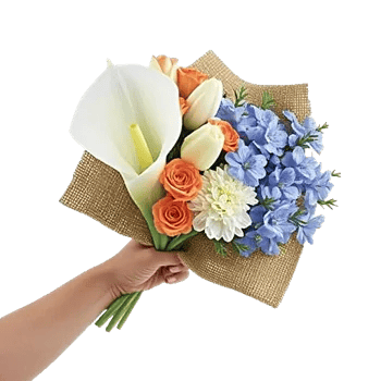 Elegant Calla Lilies