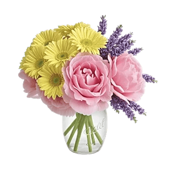 Petal Radiance Bliss