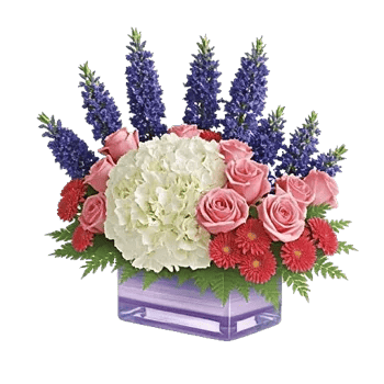Serene Petal Harmony