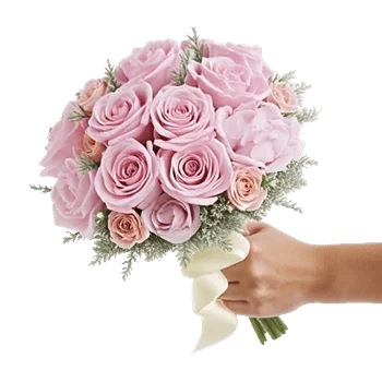 Pastel Pink Roses