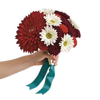 Ruby Petal Cascade