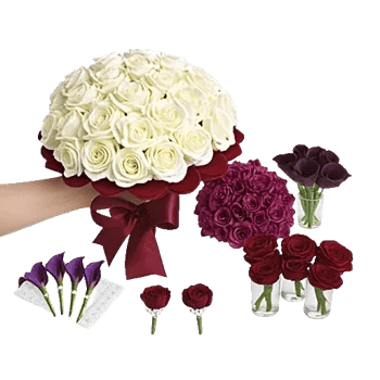 Elegant Calla Lilies