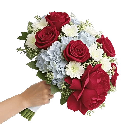 Blushing Rose Symphony