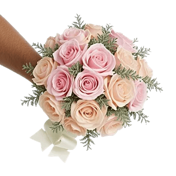 Pastel Pink Roses