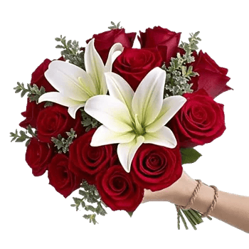 Crimson Rose Elegance