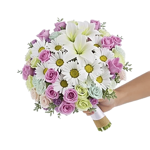 Blushing Rose Symphony