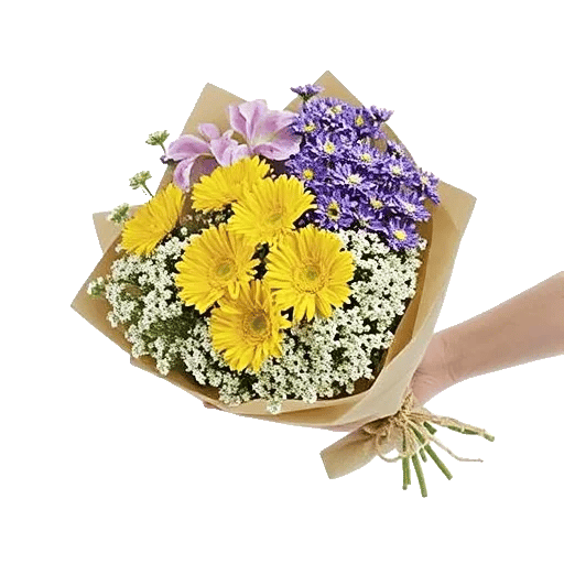 Blossom Harmony Display