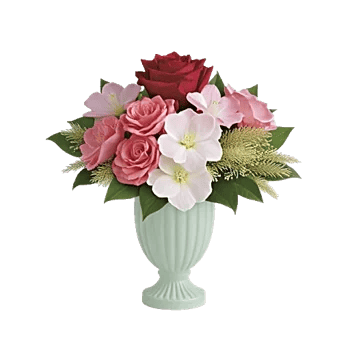 Crimson Blossom Harmony