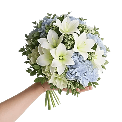 Ivory Blossom Radiance