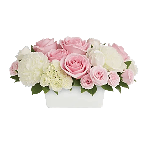 Delicate Petal Cascade