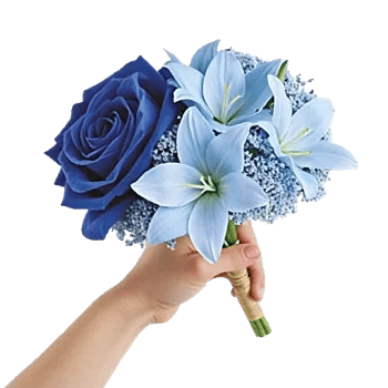 Elegant Blue Roses
