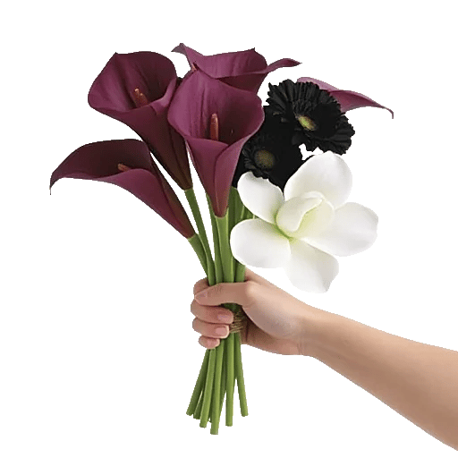 Elegant Calla Lilies