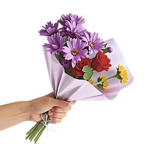 Blossom Petal Serenity