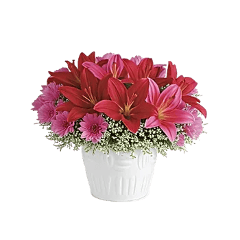 Graceful Lily Display