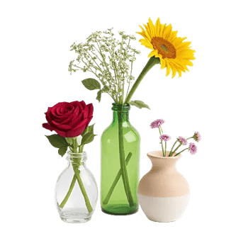 Petal Radiance Bliss
