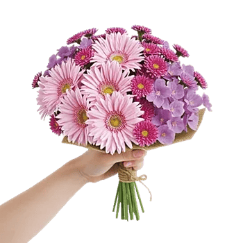 Petal Harmony Bliss
