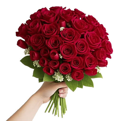 Crimson Rose Elegance