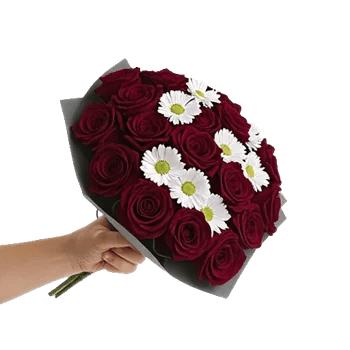 Crimson Rose Elegance